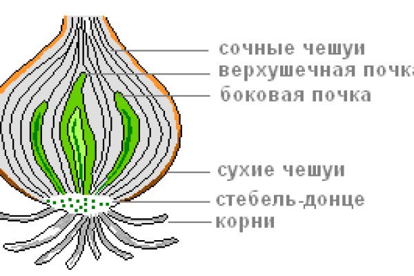 Кракен современный даркнет